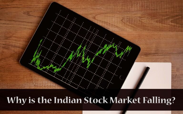 Why is the Indian Stock Market Falling?